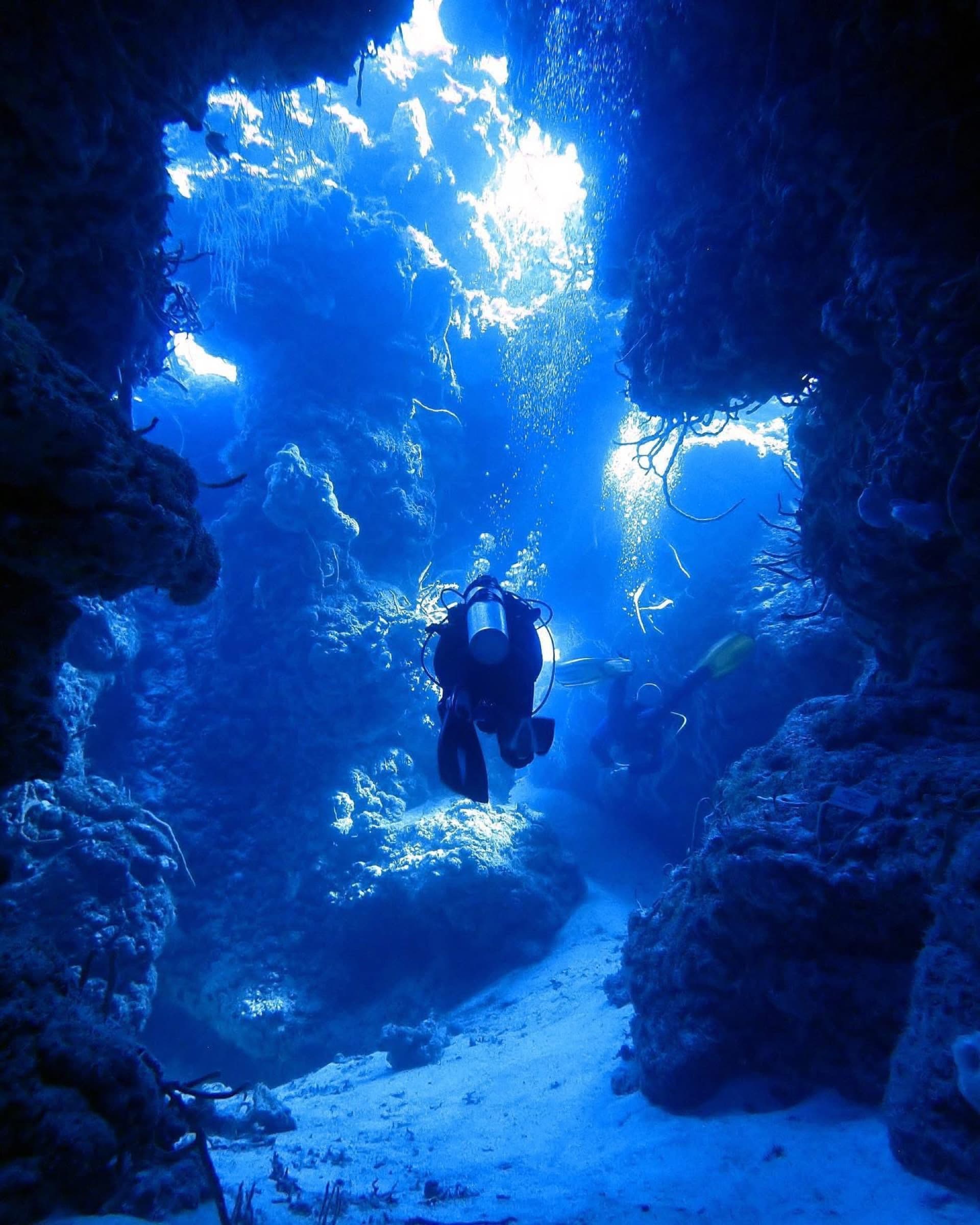 Scuba diver exploring a coral reef with a school of yellow fish