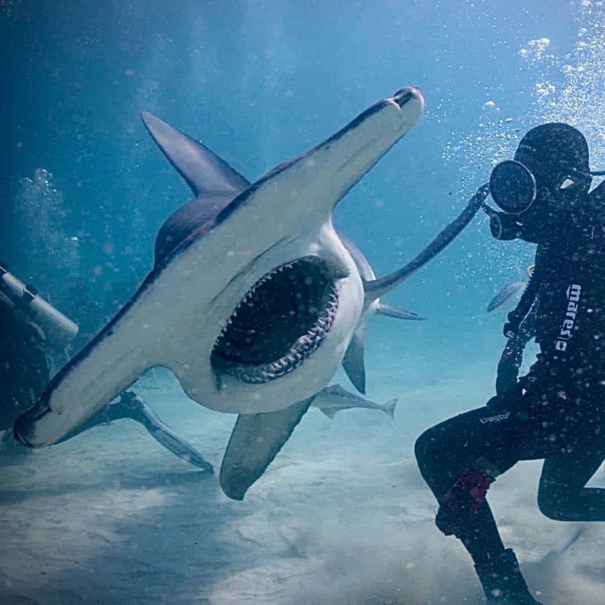 BluWave Divers group on the dive boat ready for a trip