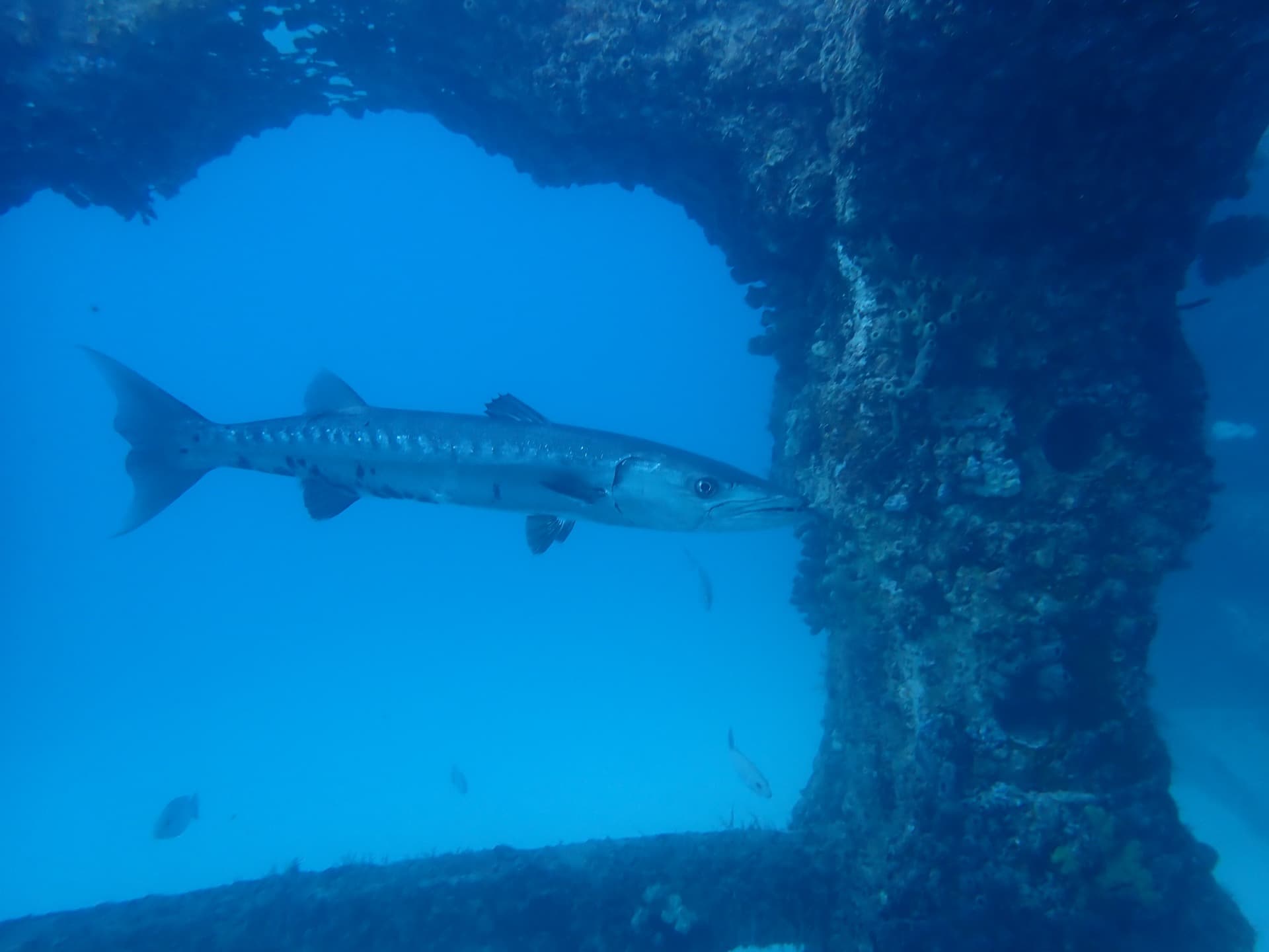 Wreck Silhouette Dive — Pompano Beach, Florida