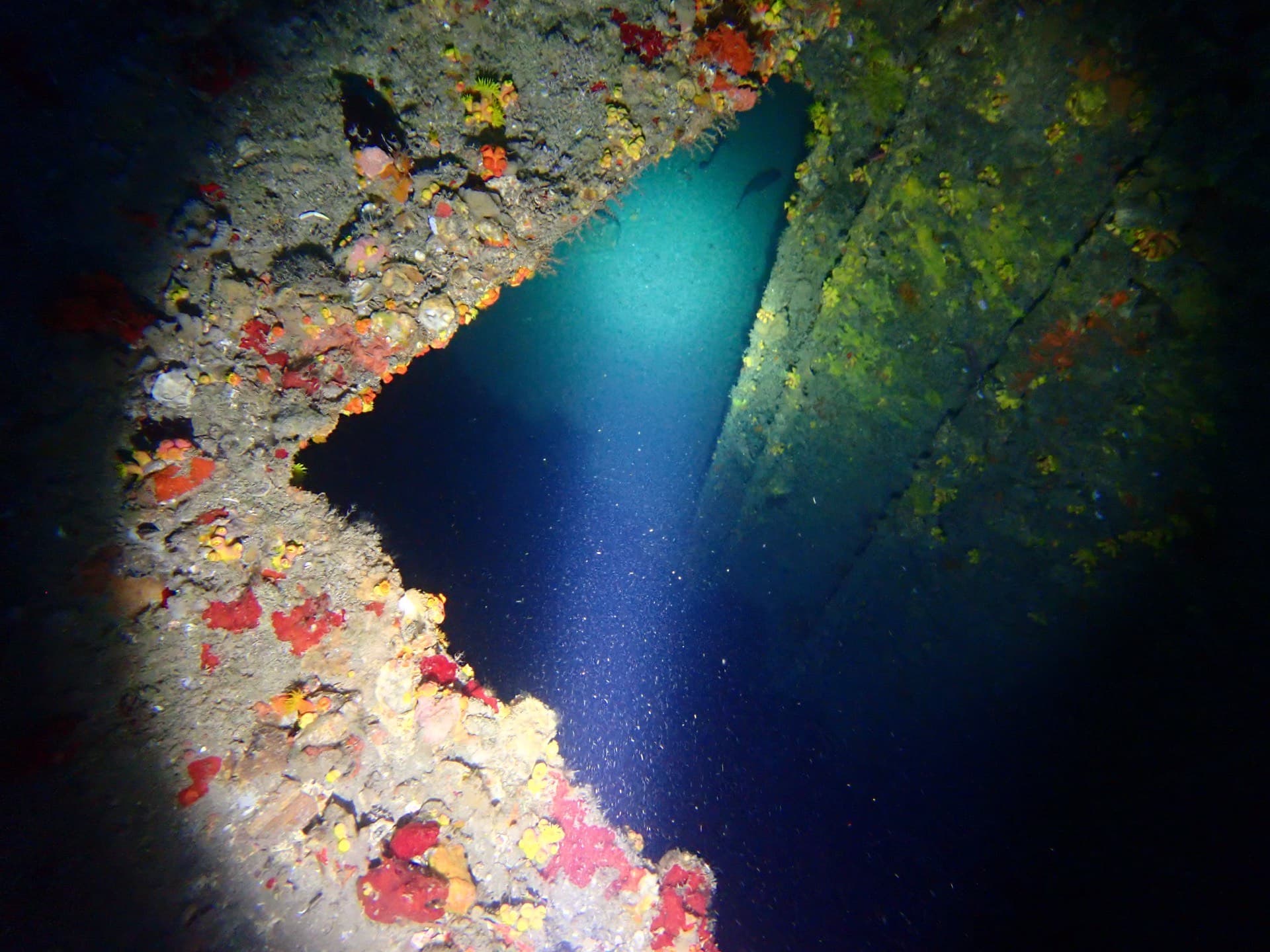 Wreck Dive Weekend — West Palm Beach, Florida