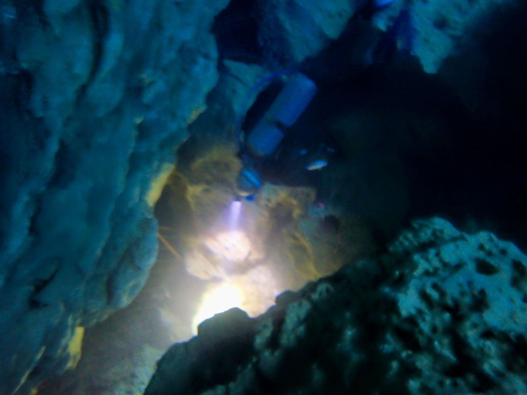 A light in the crevice