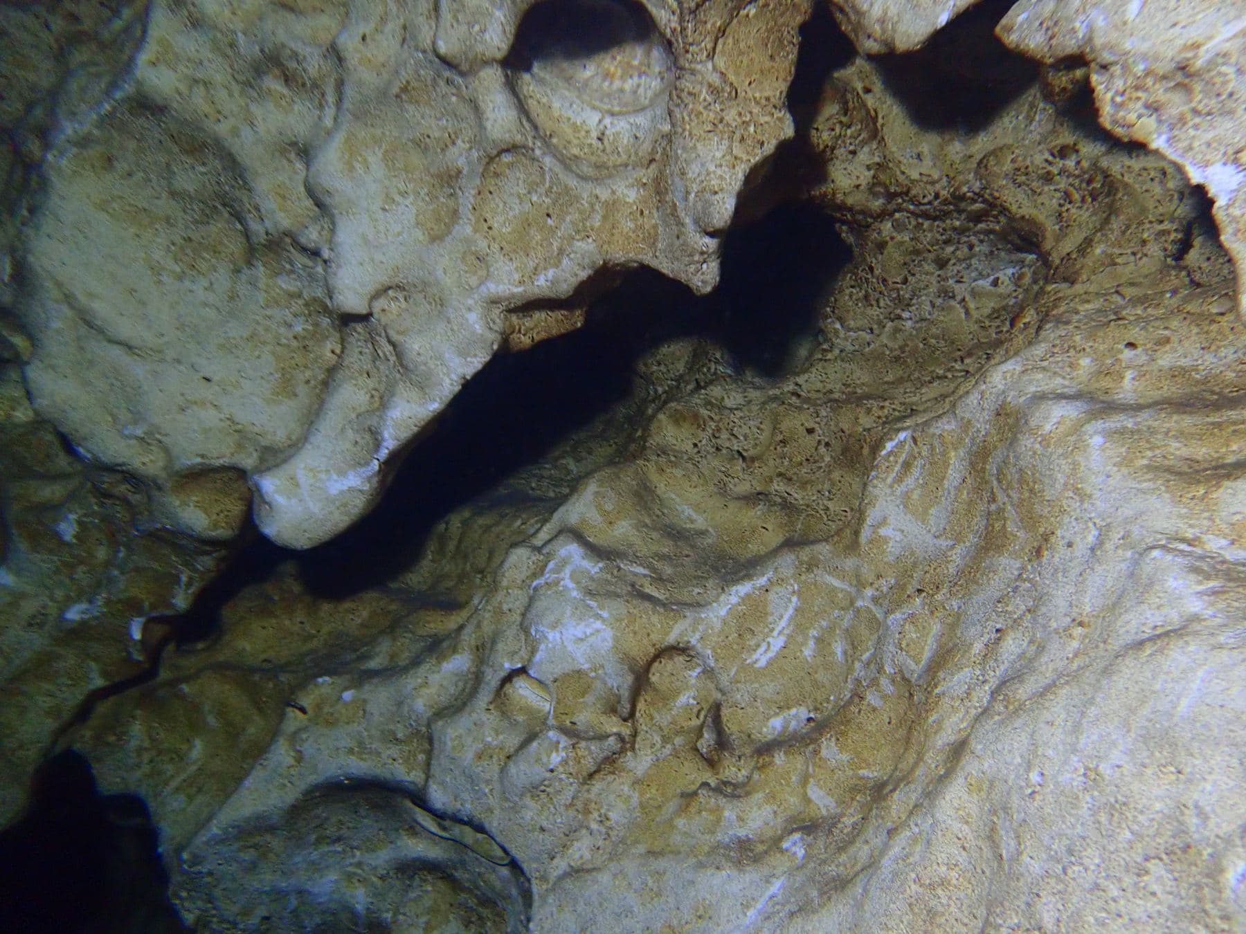 Limestone up close