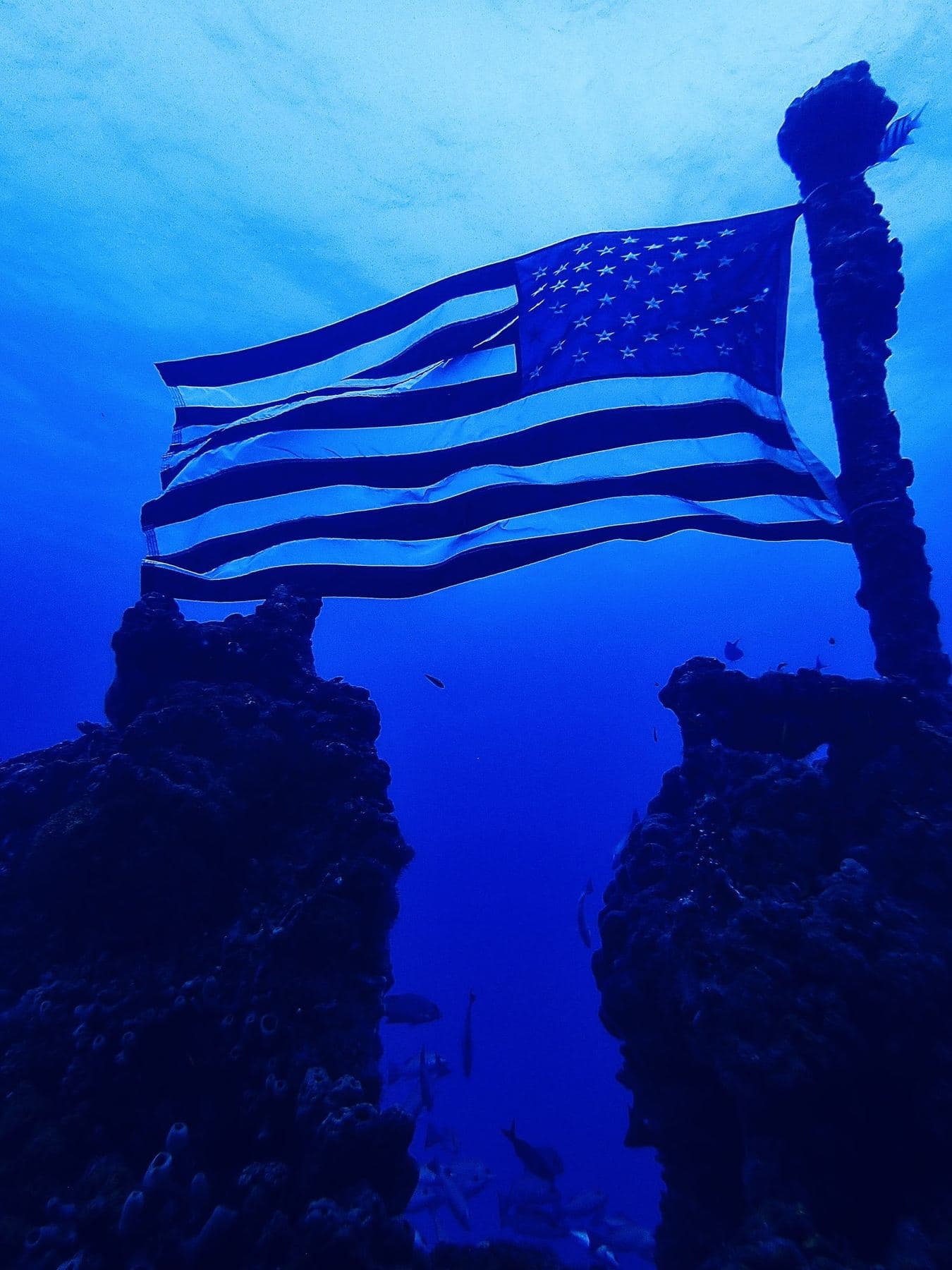 The flag on the mast