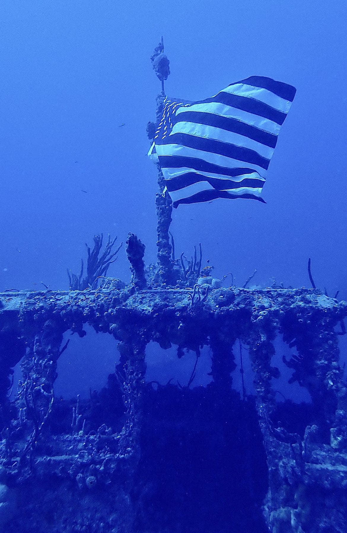 Flag on the mast, seen from the deck