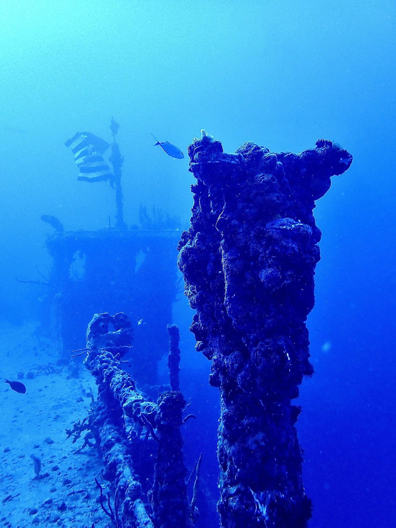 Coral-encrusted railings