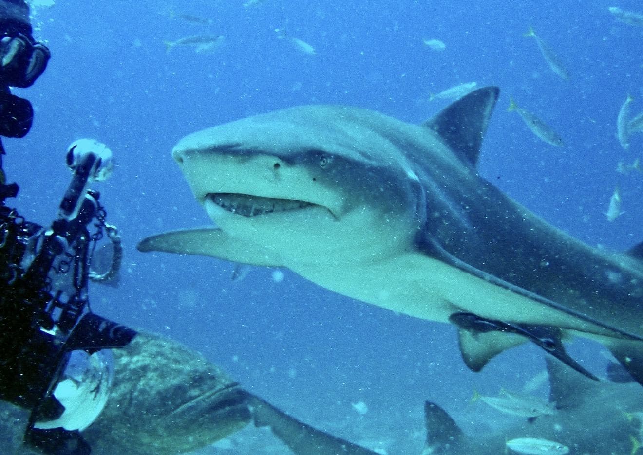 The photographer and her subject