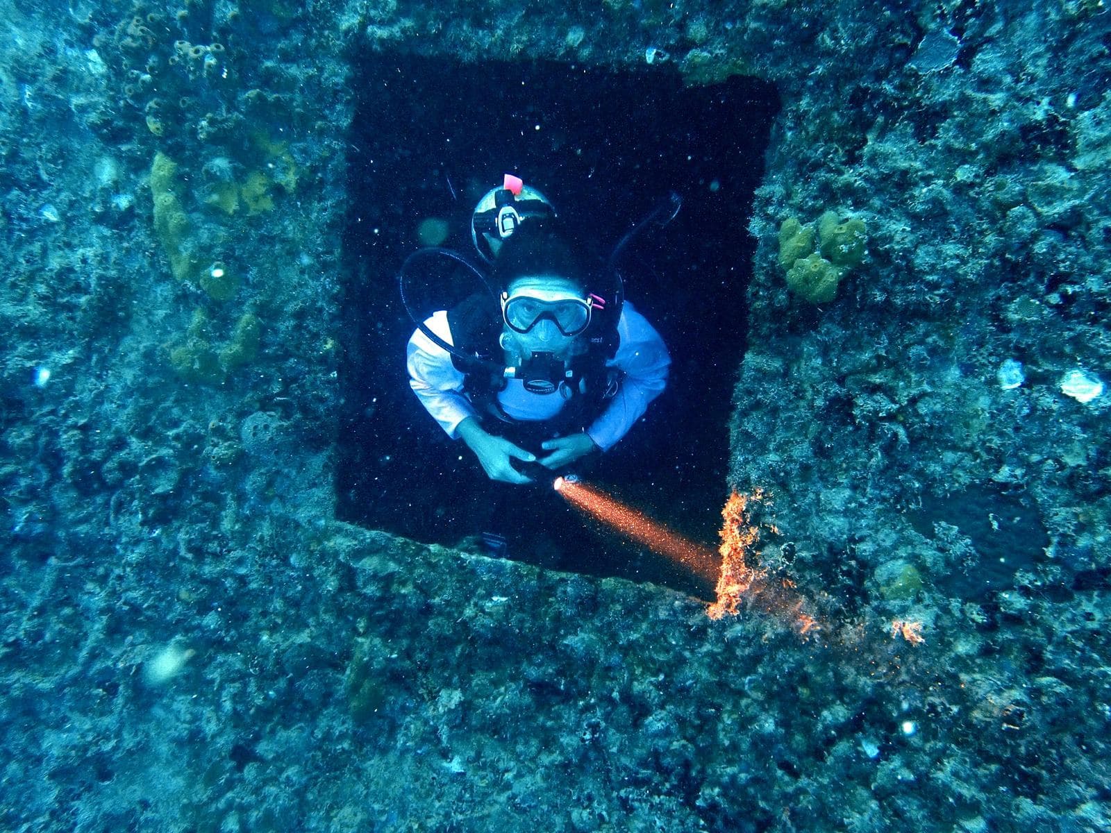 Popping out of the hatch