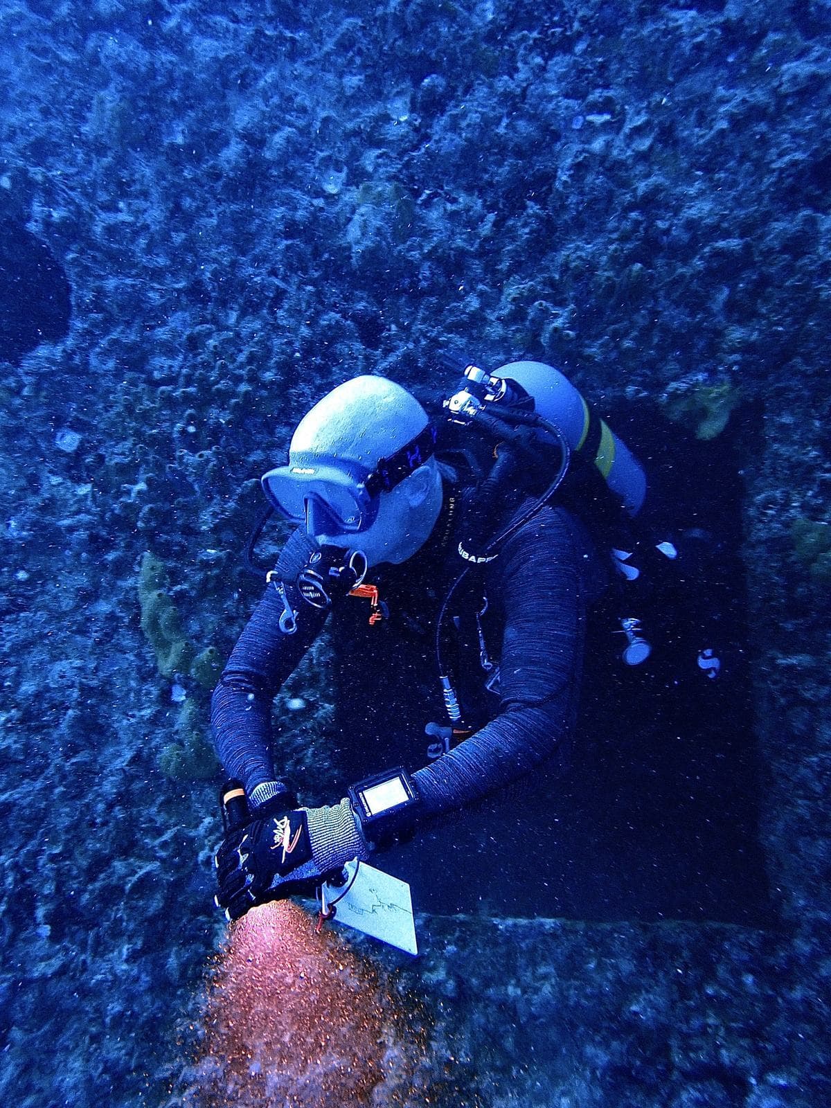 Working the reef with a slate