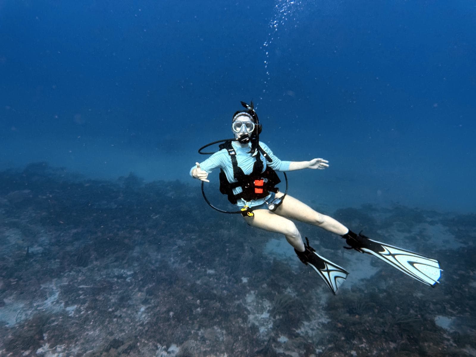 Hovering over the reef