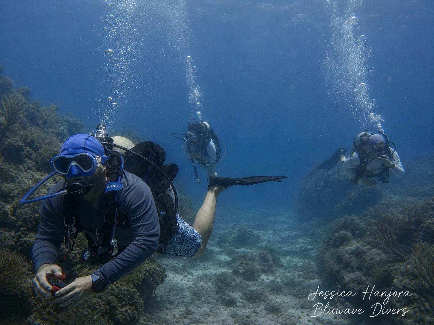 Buddy team on the reef