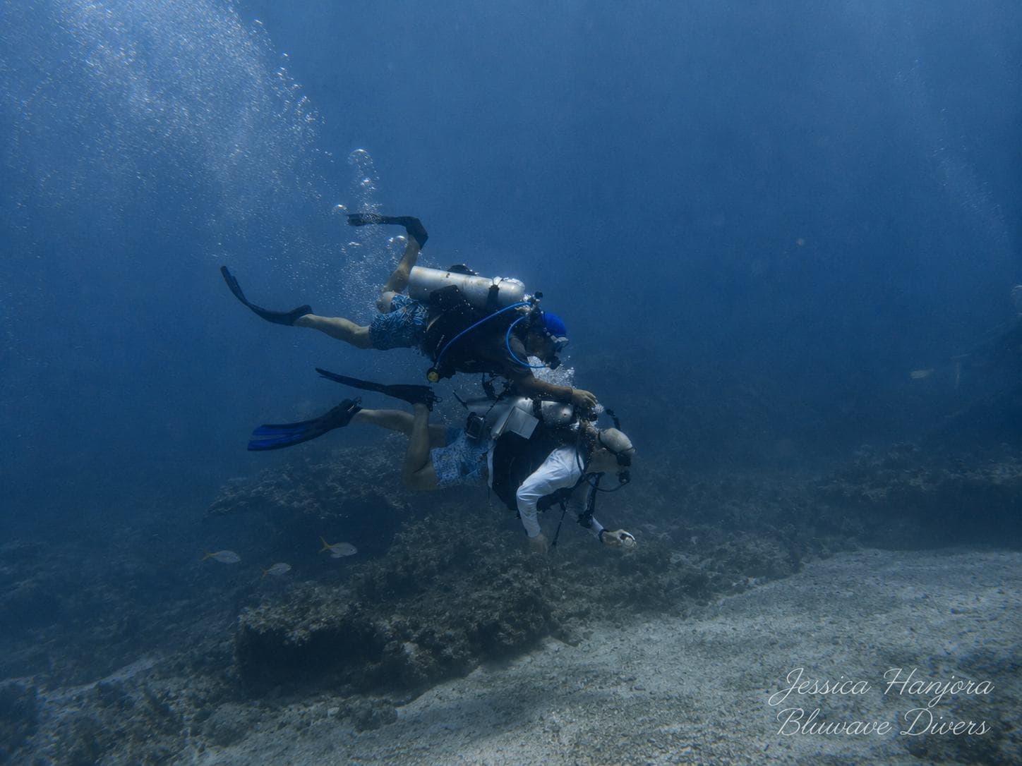 Following the guide