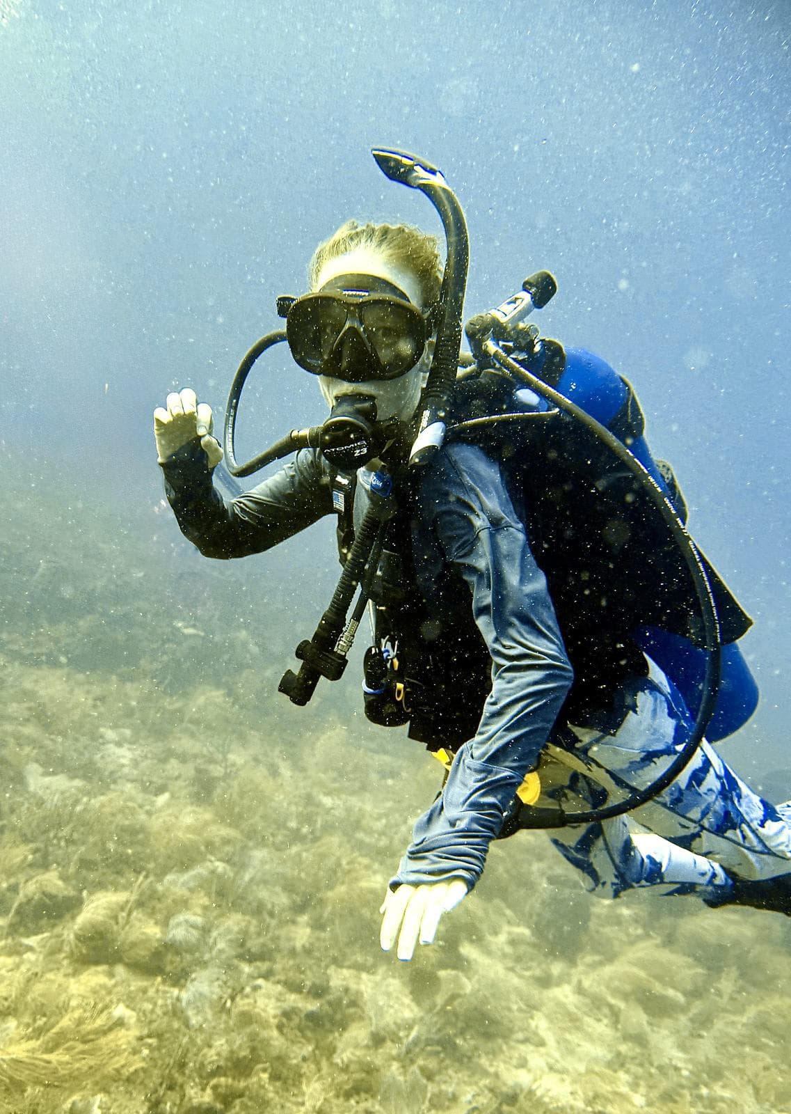 Waving from the reef