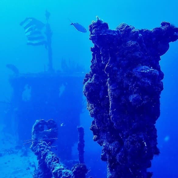 Key Largo Dive Trip — photo 2