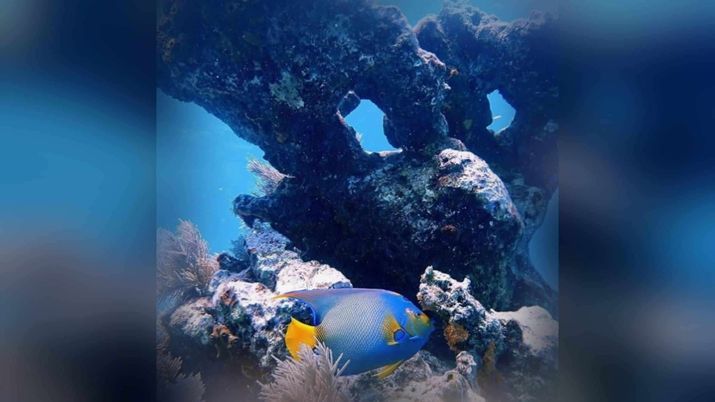 Key Largo Dive Trip — photo 1