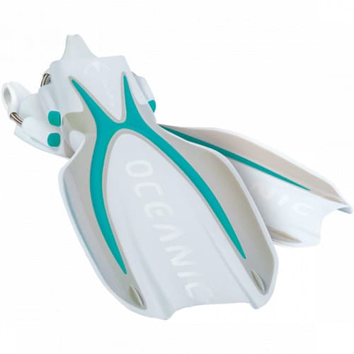 Oceanic Manta Ray Fins