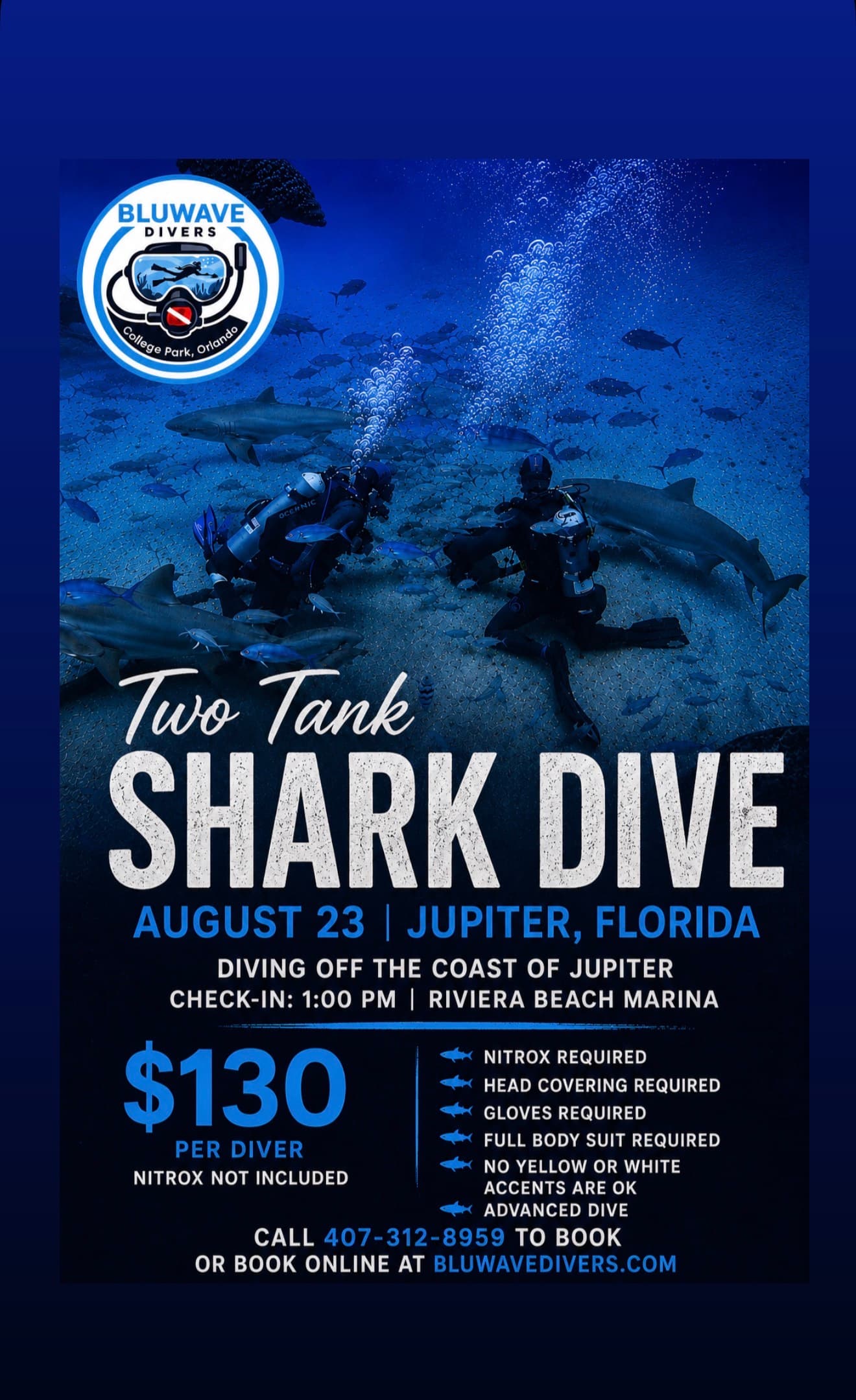 2Tank Shark Dive