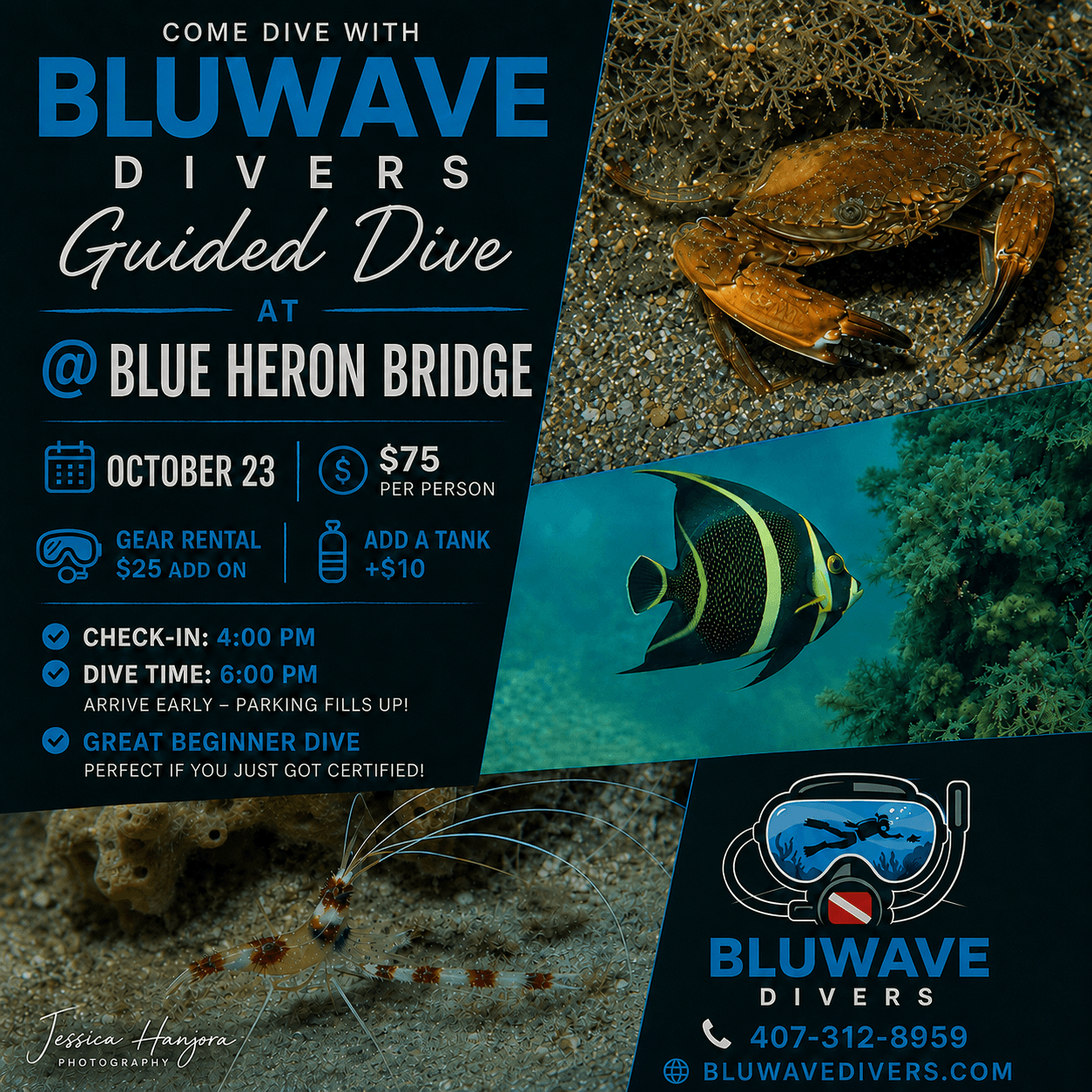 Blue Heron Bridge Guided Dive